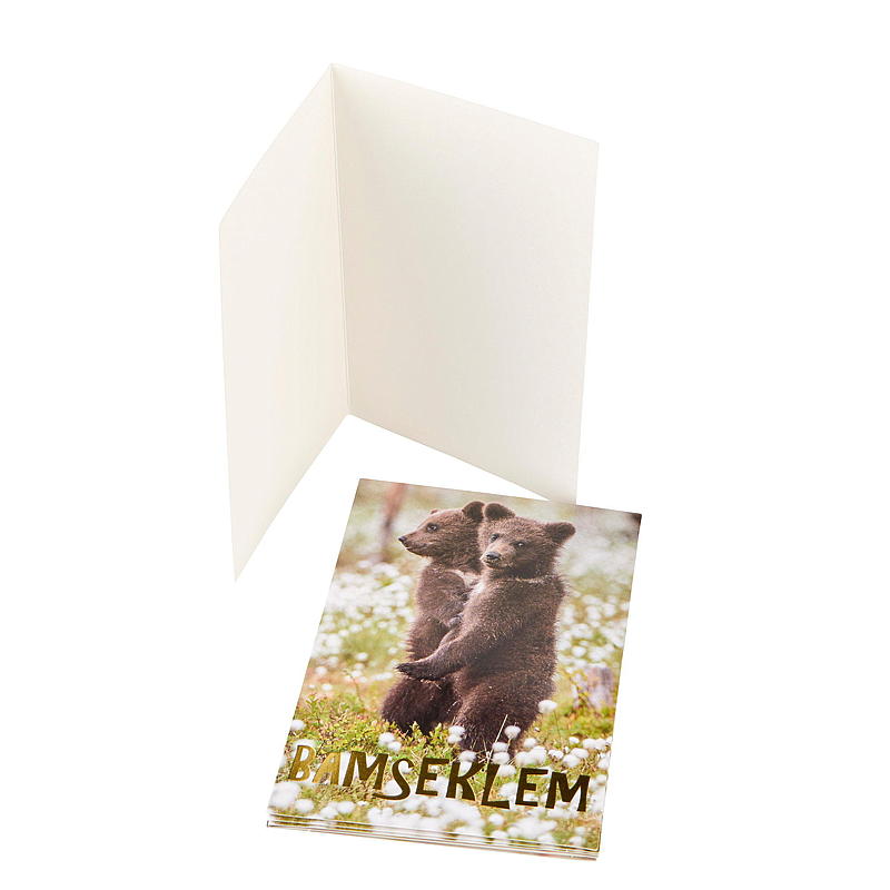 Korte knuffel van twee teddyberen