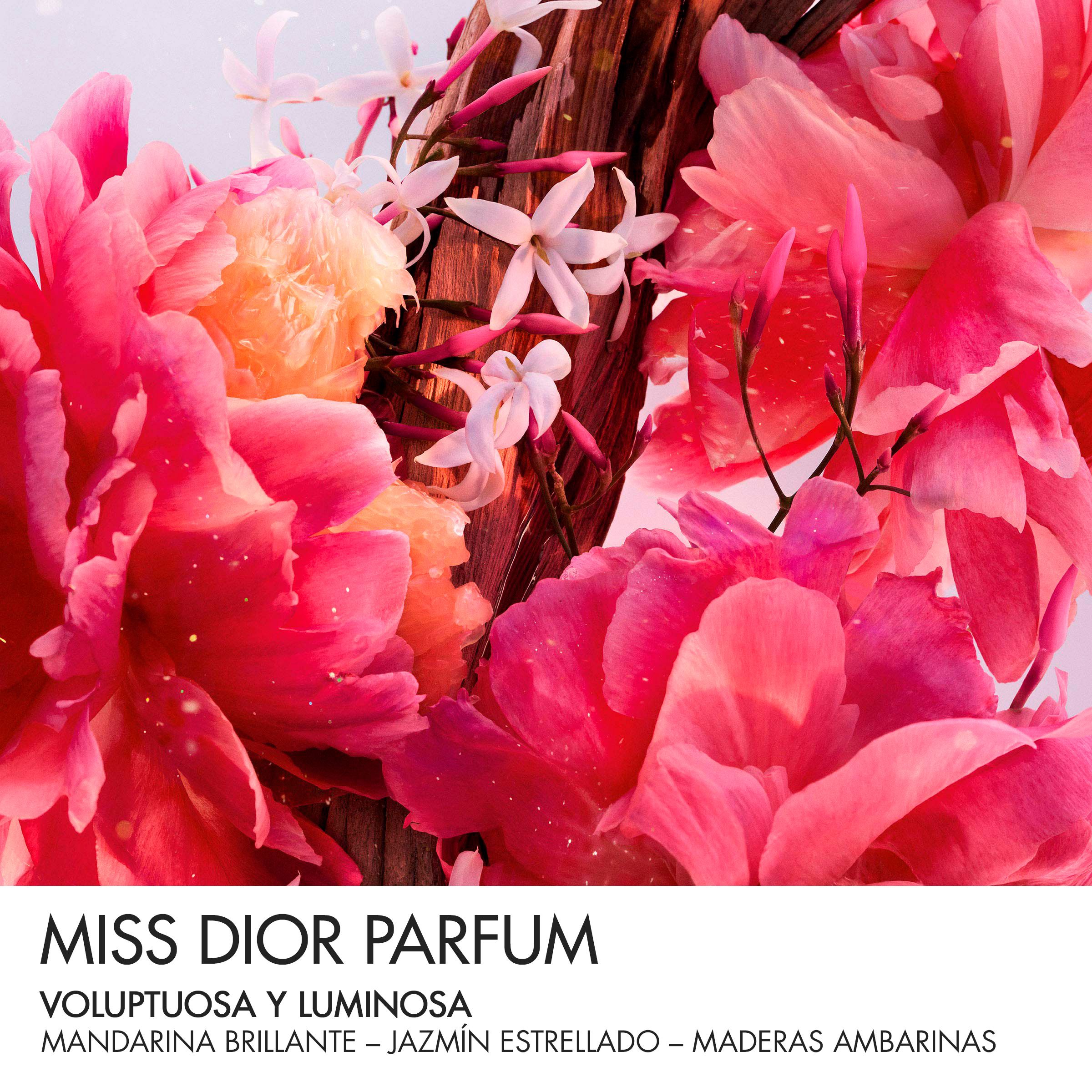 Miss Dior Parfum Roller Pearl путни парфем Женски парфеми