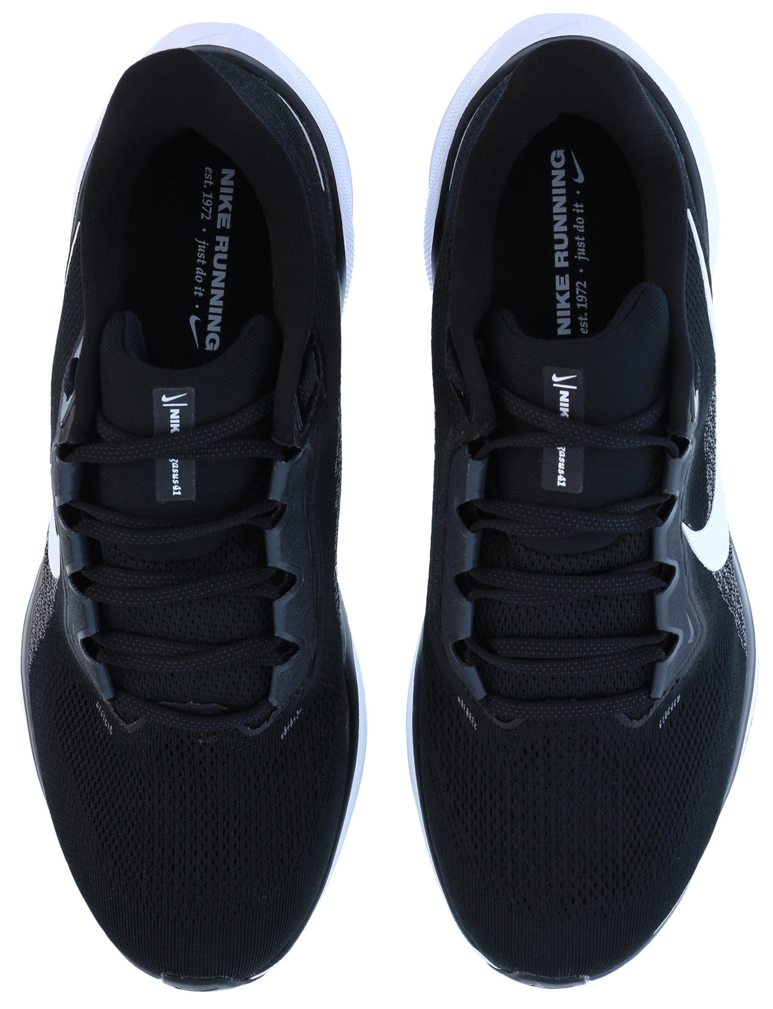 Nike Pegasus 41