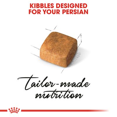 Royal Canin Persan Pisicuță