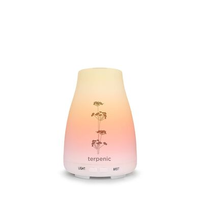 Aromatherapie diffuser met terpenische etherische olie (1 stuk)