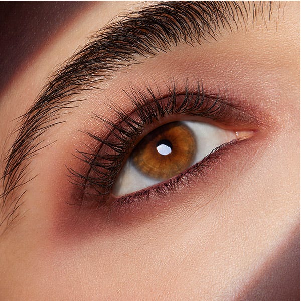 Σκιές ματιών Pure Color Envy Quads