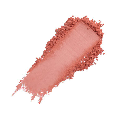 Wet n Wild Powder Blush Color Icon Blush 6 g 6 g