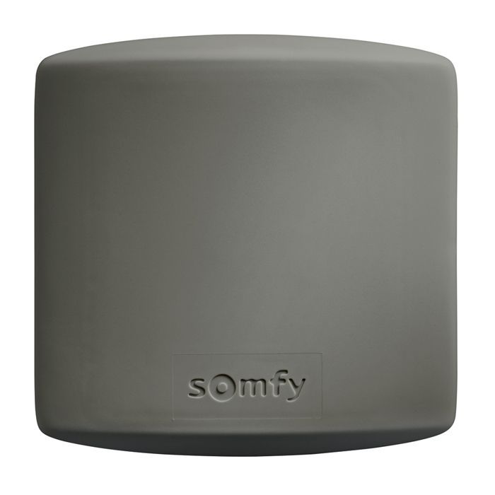 SOMFY 2400556 - Receptor universal para exteriores para motor de puerta de garaje o portón - Tecnología RTS
