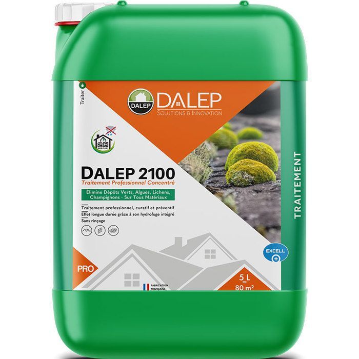 DALEP 2100 Trattamento anti-depositi verdi 5L per tetti e facciate