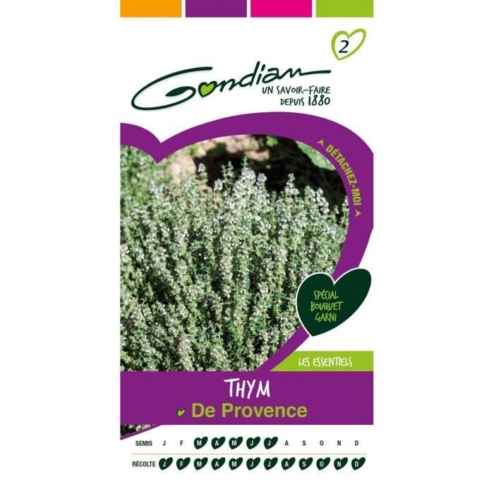 GONDIAN - Vegetable Seeds: White Provence Thyme Seeds