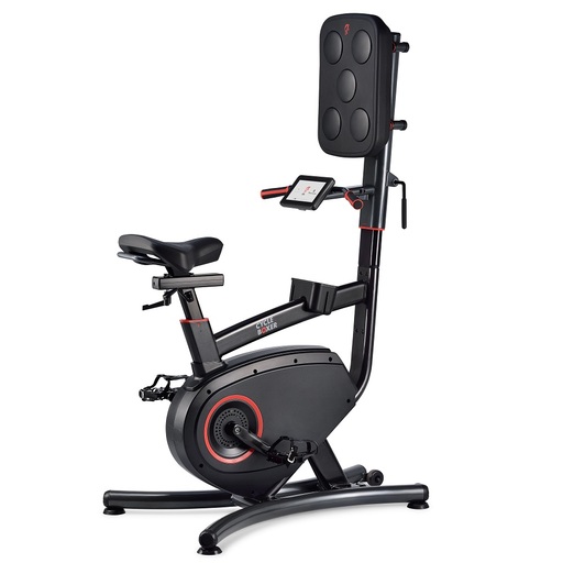 Vélo d'entraînement à domicile Lifespan CB110