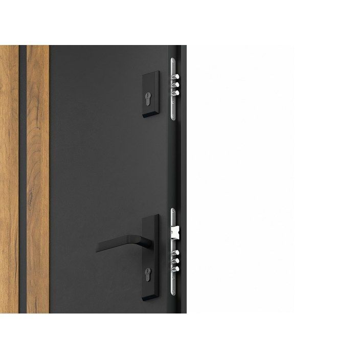 Porte d'entrée pleine en acier H207 x L100 cm - Anthracite avec rayures effet chêne - épaisseur 55 mm - poussant gauche - COBRITA