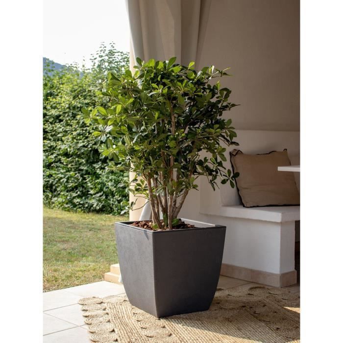 Hoher, quadratischer Blumentopf – EDA – Diva Basalt – 42 l – 43,5 x 43,5 x 78,2 cm (H) – Herausnehmbarer Inneneinsatz – Anthrazitgrau