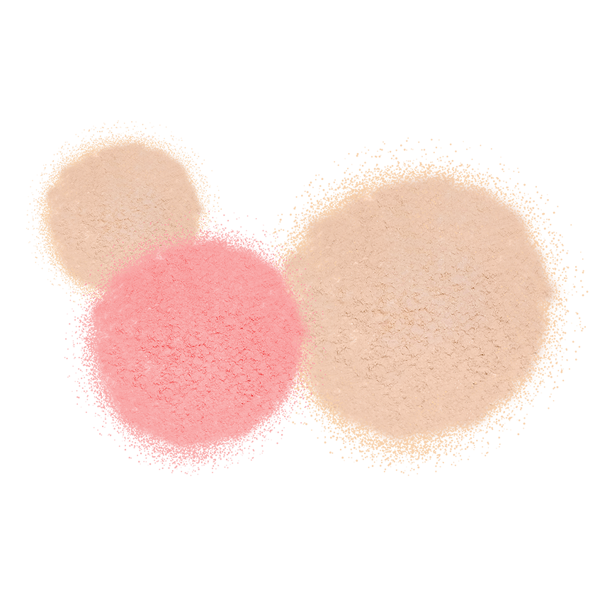 Πινέλο highlighter Hebe Professional Fan