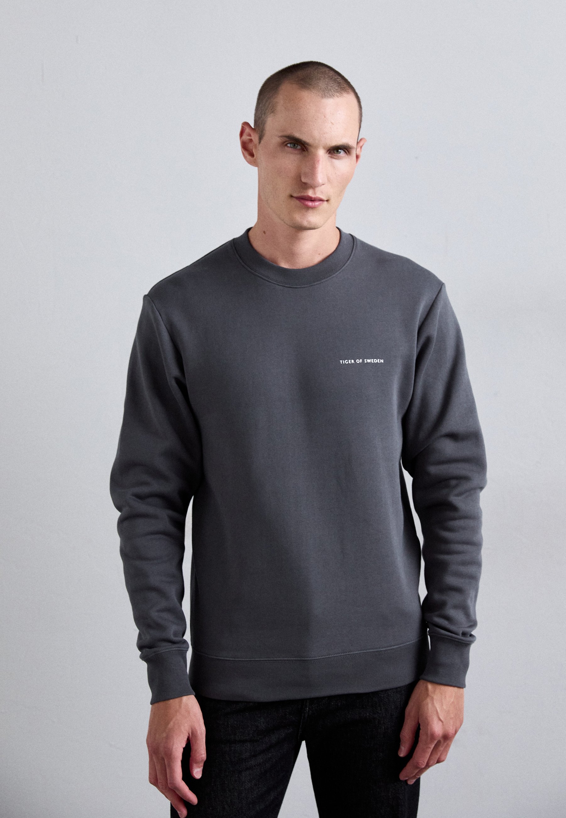 Tiger of Sweden EMERSON - Sweatshirt - zilver