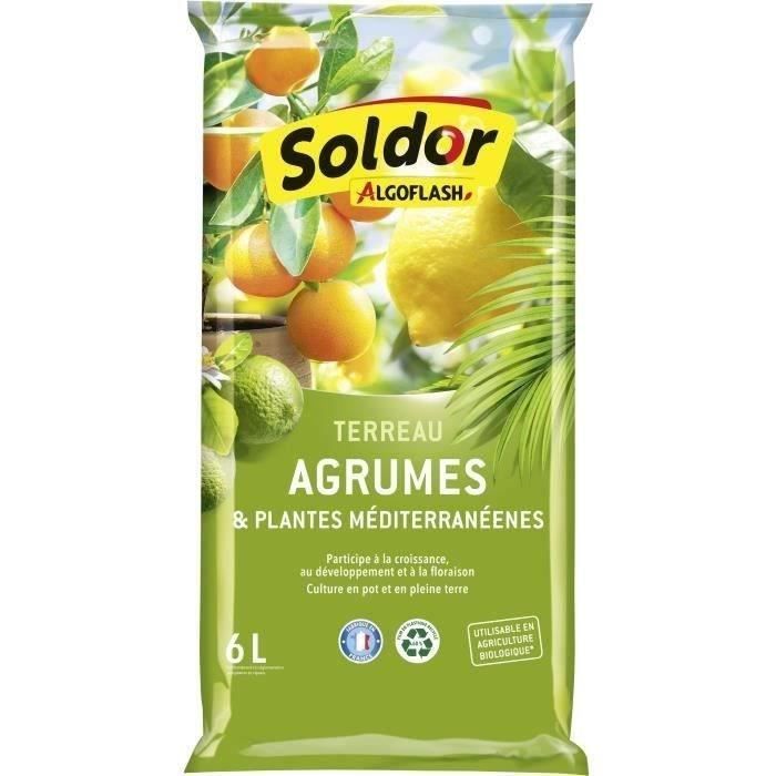 ALGOFLASH - Terriccio per agrumi e piante mediterranee 6 L