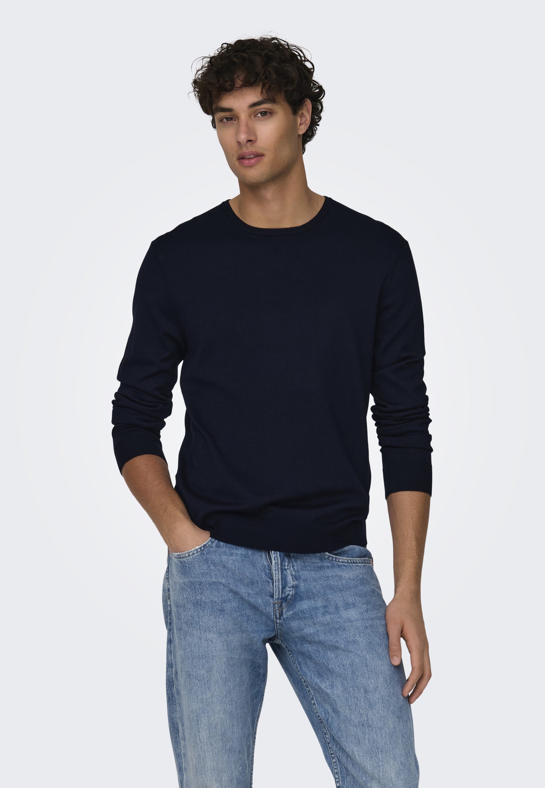ONSWYLER LIFE CREW - Svetr - black