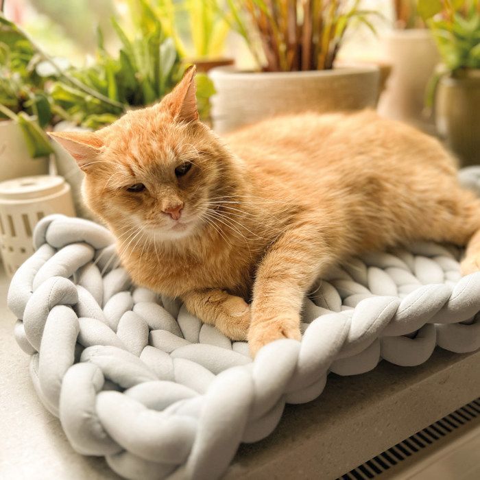 Cama para gatos Aumüller para ventana - cama de punto grueso - gris