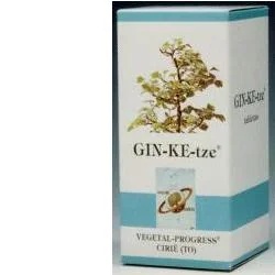 Ginketze Nahrungsergänzungsmittel 80 Tabletten