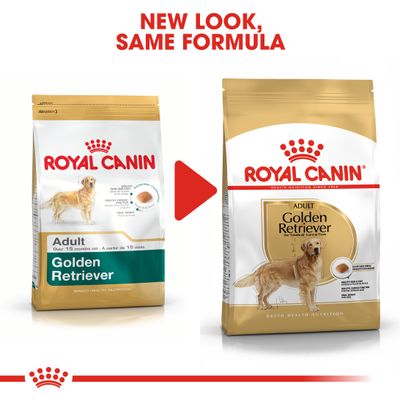 Royal Canin Golden Retriever Adulto