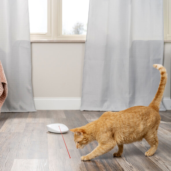Automatisk katteleker med laserhale