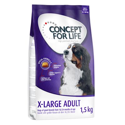 Concept for Life X-Large Erwachsene