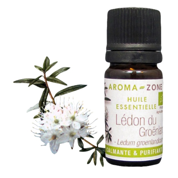 Esenciální olej z organického grónského labradorského čaje 5 ml