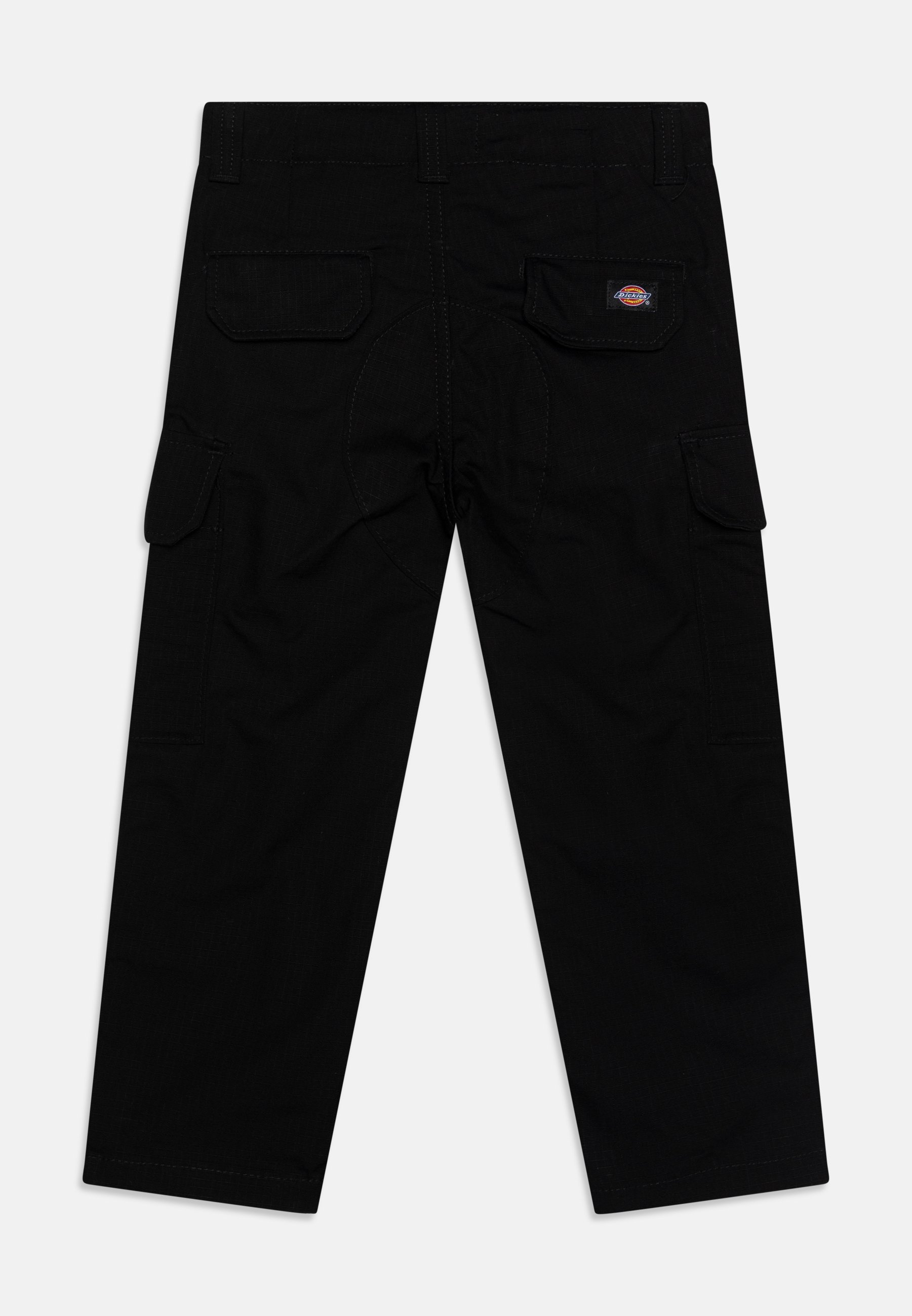Pantalon cargo unisexe Dickies MILLERVILLE - noir