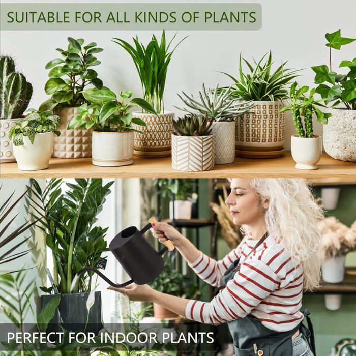 Arrosoir décoratif pour plantes d'intérieur, en acier inoxydable, avec long bec verseur, noir