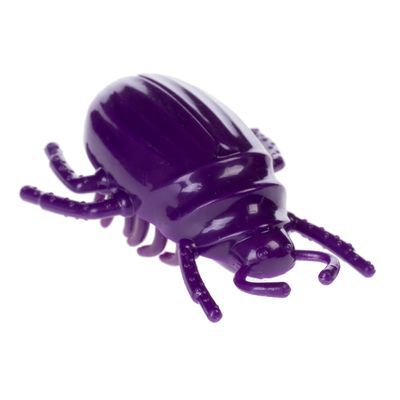 Jouets pour chats insectes