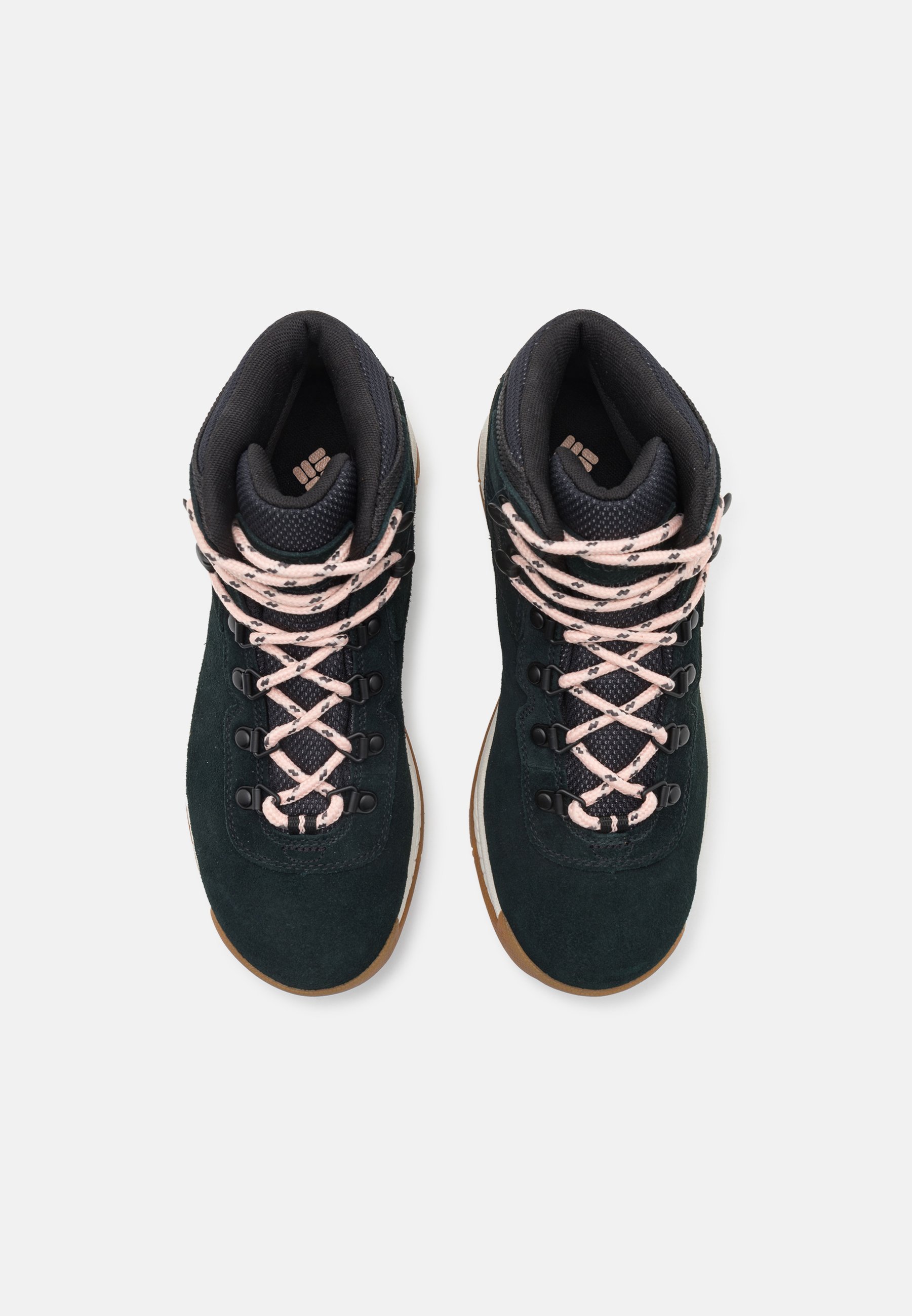 Columbia NEWTON RIDGE™ PLUS WASSERDICHT AMPED - Wanderschuhe - Schwarz/Rosé