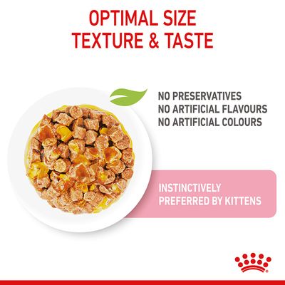 Royal Canin Kitten in Jelly