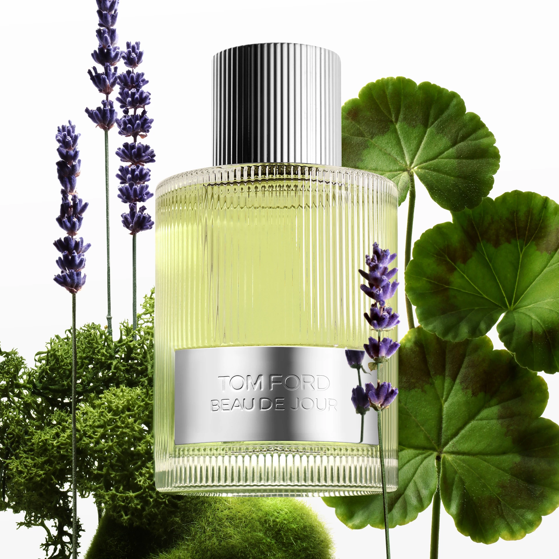 Beau De Jour EdP 100 ml - TOM FORD
