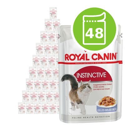 Royal Canin Nassfutter für Katzen, Sparpackung 48 x 85 g