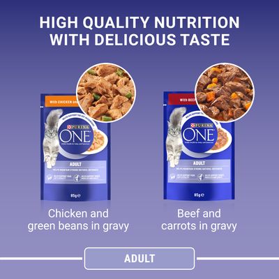 PURINA ONE Voksen