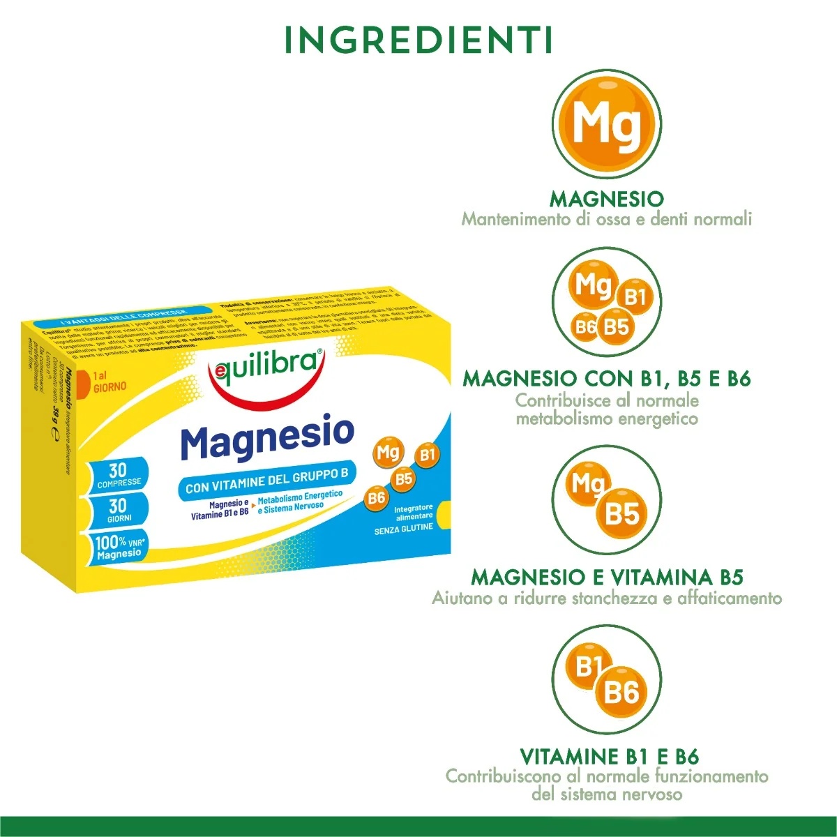 EQUILIBRA Equilibra Magnesium met B-vitamines 30 tabletten Voedingssupplement tegen vermoeidheid en uitputting