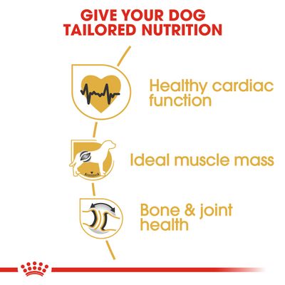 Royal Canin Rottweiler felnőtt kutyatáp