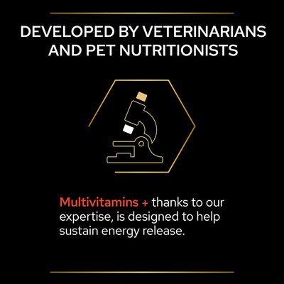 PRO PLAN Supliment multivitaminic pentru câini, tabletă