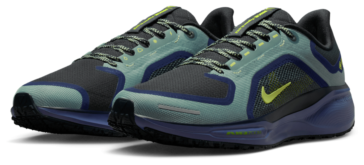 Nike Pegasus 41 Gore-tex