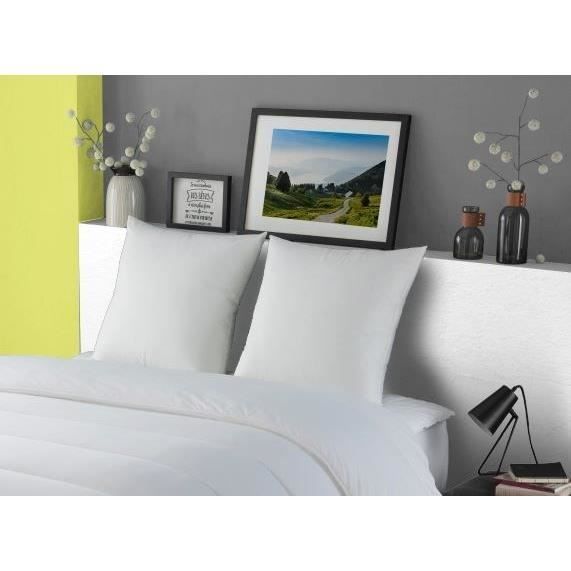 Almohada de plumas de ganso DODO Morzine, antiácaros, 65x65cm, blanca
