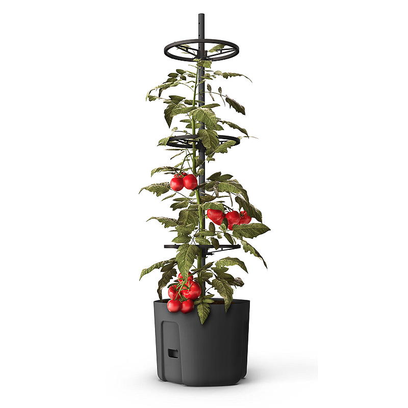 Blossom tomatpotte 29 cm, selvvannende, Blossom