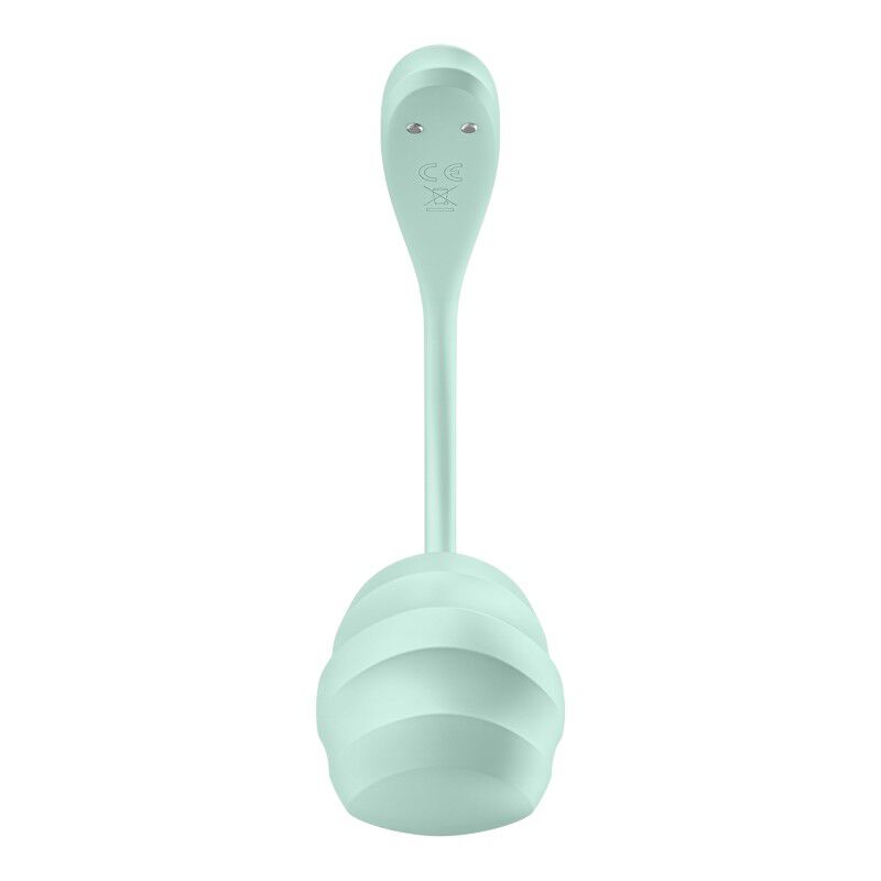 Satisfyer Smooth Petal Connect App