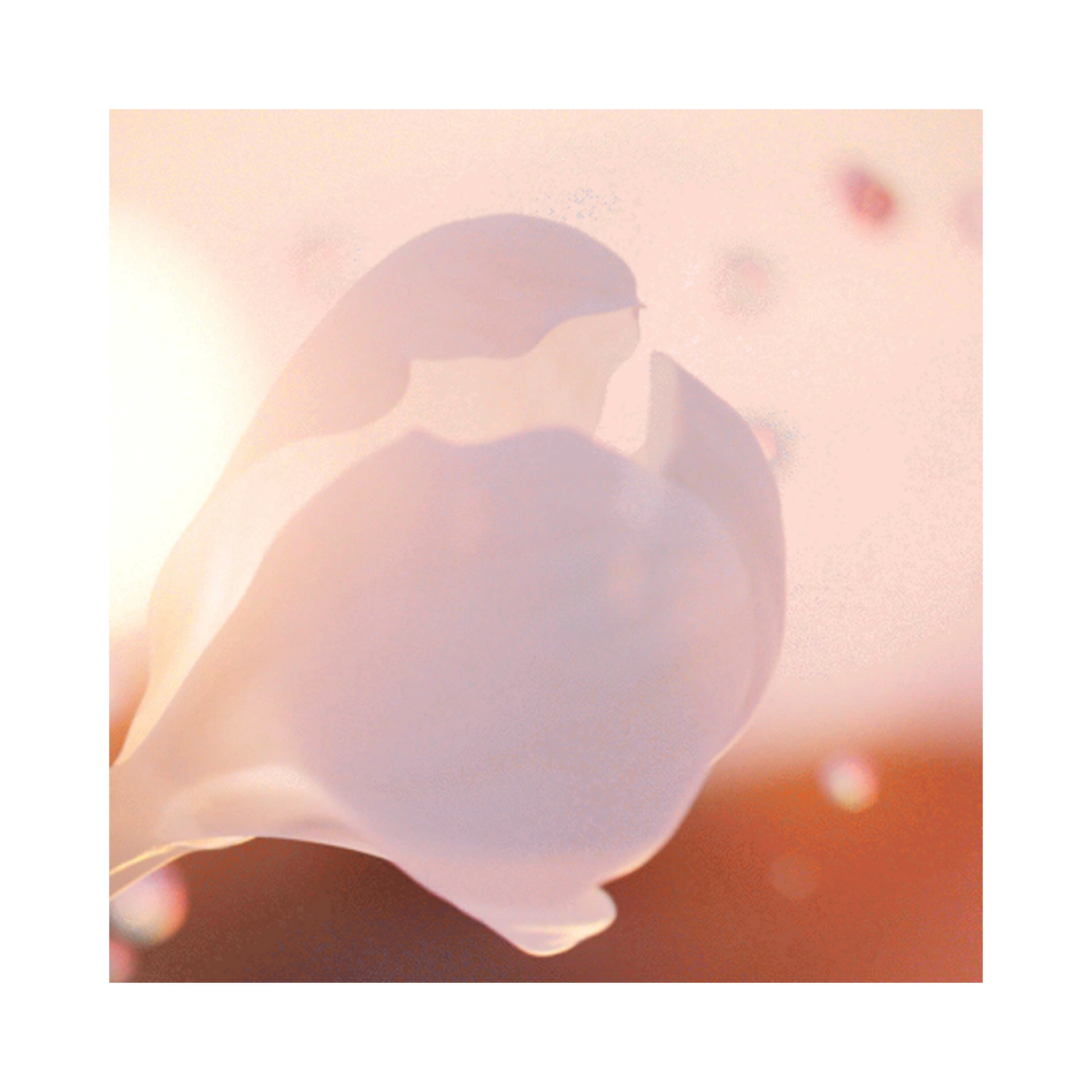Idôle Now EdP 100 ml - Lancôme