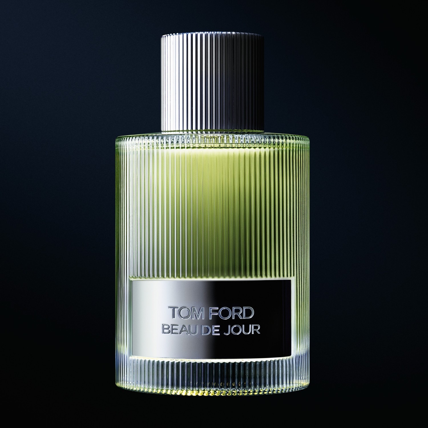 TOM FORD Signature Fragrances Beau de Jour parfemska voda – 100 ml