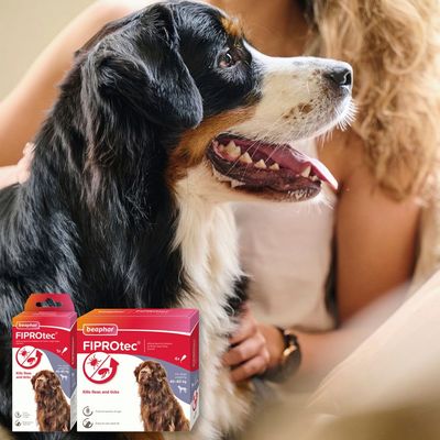 beaphar FIPROtec® Spot-on proti blechám a klíšťatům pro psy - XL (>40 kg)