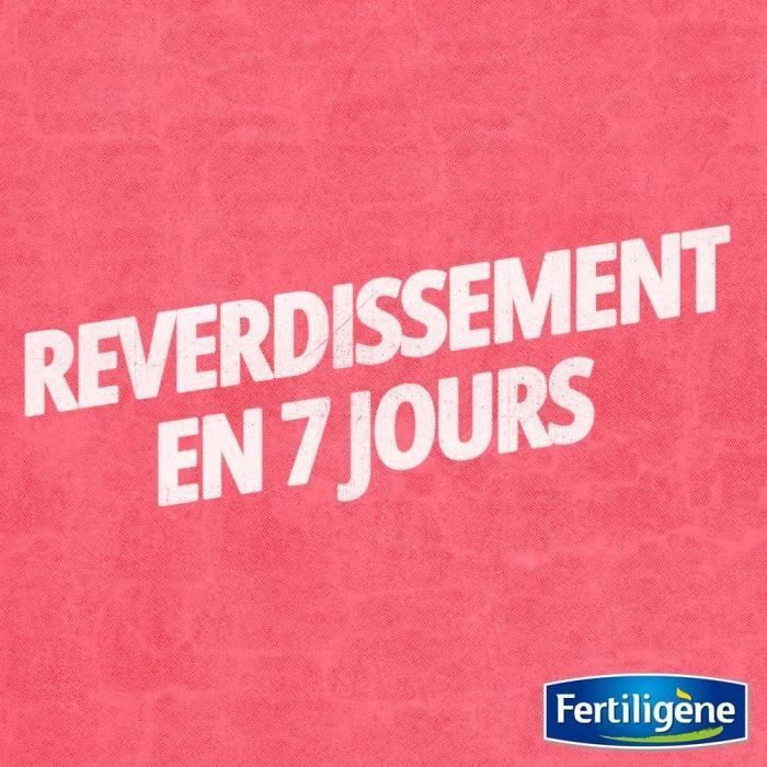 FERTILIGENE Fertilizante de larga duración para césped - 4 kg - 200 m² /nc