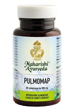 Pulmomap 6CPR
