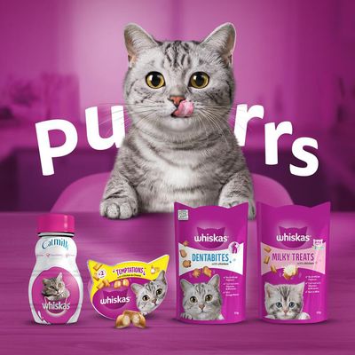 Whiskas Temptations 60g