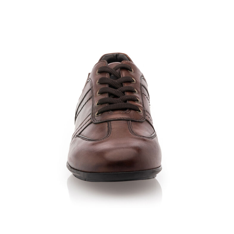Kosarak / sportcipők Homme Marron