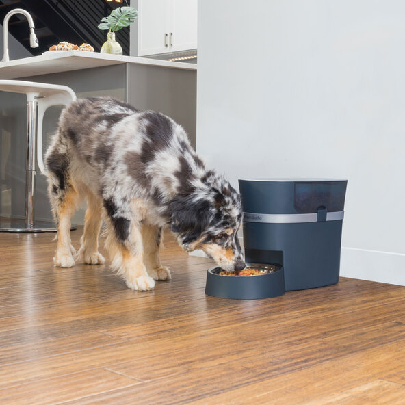 Smart Feed Futterautomat, mit Smartphone-Steuerung per App