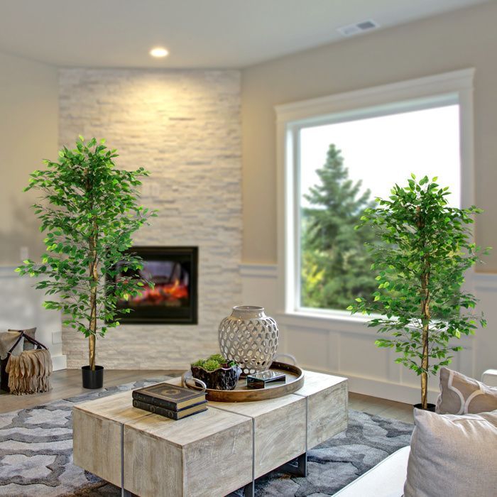 Conjunto de 2 plantas artificiales - ficus, 1,80 m de altura - tronco, ramas, enredaderas, líquenes y hojas realistas, maceta incluida, verde