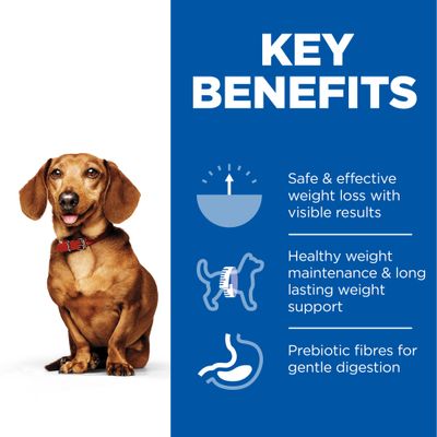 Hill's Science Plan Adult 1+ Perfect Weight Small & Mini z kurczakiem