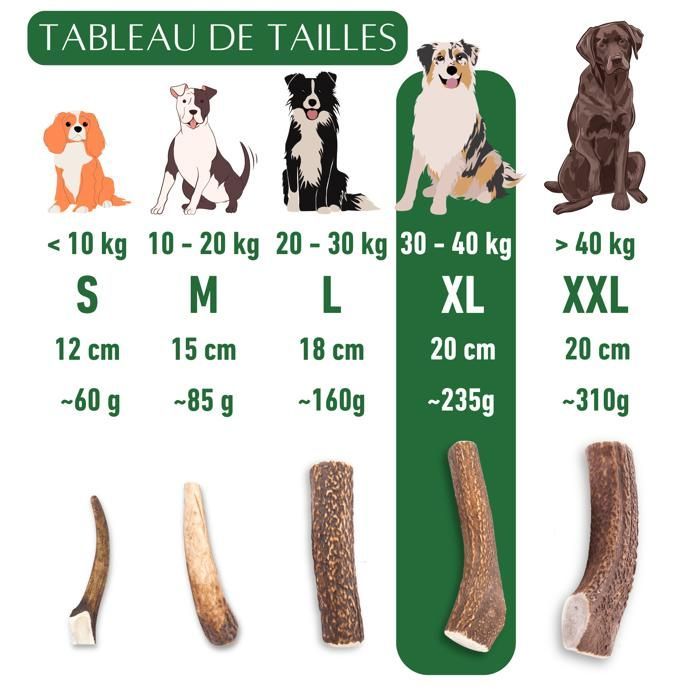 Bois de cerf pour Chien a Macher Entier Taille XL Friandise pour Chiots et Chiens de Tout ges Jouet Mastication 1 pice