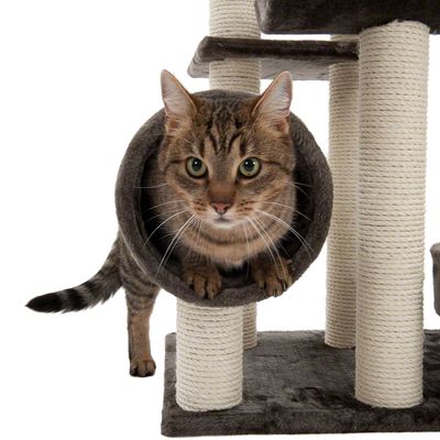 Albero per gatti Penelope